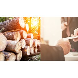 Hướng dẫn kê khai nguồn gốc gỗ nhập khẩu và kê sản phẩm gỗ nhập khẩu có xác nhận?