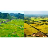 Chuyển mục đích sử dụng đất cho hộ gia đình, cá nhân có cần thẩm định?