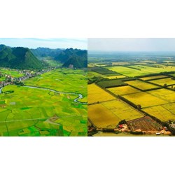 Chuyển mục đích sử dụng đất cho hộ gia đình, cá nhân có cần thẩm định?
