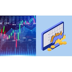 Hướng dẫn đăng ký thành viên khi giao dịch trái phiếu doanh nghiệp riêng lẻ 2024?