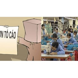 Làm gì để bảo vệ việc làm của người tố cáo là lao động theo hợp đồng?