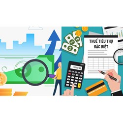 Thống nhất nội dung đề nghị xây dựng Luật Thuế TTĐB (sửa đổi)