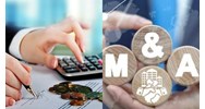 Phạm vi đầu tư vốn nhà nước để mua lại một phần hoặc toàn bộ doanh nghiệp theo Nghị định 91
