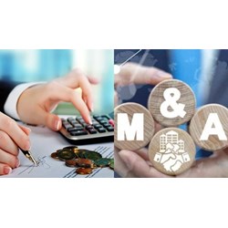 Phạm vi đầu tư vốn nhà nước để mua lại một phần hoặc toàn bộ doanh nghiệp theo Nghị định 91