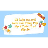 Đề kiểm tra cuối tuần môn Tiếng Việt lớp 4 Tuần 13 có đáp án