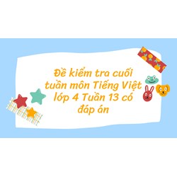 Đề kiểm tra cuối tuần môn Tiếng Việt lớp 4 Tuần 13 có đáp án