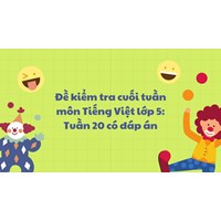 Đề kiểm tra cuối tuần môn Tiếng Việt lớp 5: Tuần 20 có đáp án