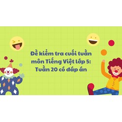 Đề kiểm tra cuối tuần môn Tiếng Việt lớp 5: Tuần 20 có đáp án