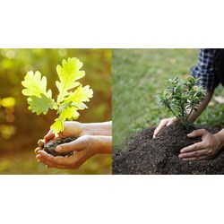 Trường hợp cấp lại thẻ giám định viên quyền với giống cây trồng