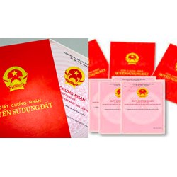 Hiệu trưởng có được mang sổ đỏ nhà trường đi cầm cố hay không?