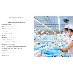 Hướng dẫn các nội dung chủ yếu trong hợp đồng lao động