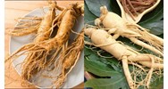 Sản phẩm nhân sâm được sử dụng làm thực phẩm hoặc thành phần thực phẩm
