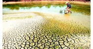 Mức hỗ trợ từ ngân sách Trung ương để khắc phục hậu quả về hạn, mặn