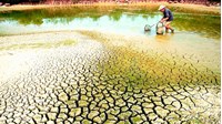 Mức hỗ trợ từ ngân sách Trung ương để khắc phục hậu quả về hạn, mặn