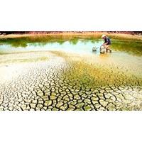 Mức hỗ trợ từ ngân sách Trung ương để khắc phục hậu quả về hạn, mặn