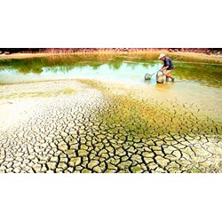 Mức hỗ trợ từ ngân sách Trung ương để khắc phục hậu quả về hạn, mặn