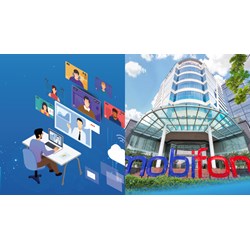 Loại hình hoạt động và ngành nghề kinh doanh của MobiFone