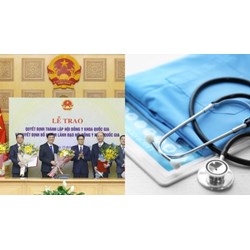 Hội đồng Y khoa Quốc gia do ai thành lập và có tối đa mấy Ủy viên?