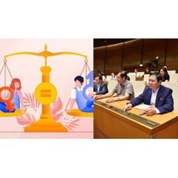Tần suất báo cáo Quốc hội về công tác phòng, chống bạo lực gia đình