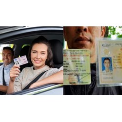 Giấy phép lái xe hạng D được lái những phương tiện nào?