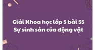 Giải Khoa học lớp 5 bài 55: Sự sinh sản của động vật