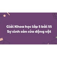 Giải Khoa học lớp 5 bài 55: Sự sinh sản của động vật