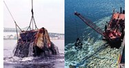Được cấp phép nhận chìm ở biển mà không tiến hành hoạt động nhận chìm?