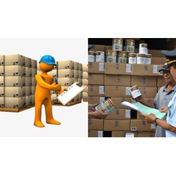 Khi nào được kiểm tra thực tế hàng hóa khi vắng mặt người khai hải quan?