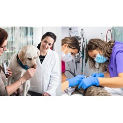 Cơ sở kiểm nghiệm thuốc thú y phải tách biệt với công trình công cộng?