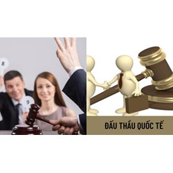 Ưu đãi đối với đấu thầu quốc tế và Ưu đãi đối với đấu thầu trong nước