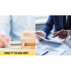 Ai chấp thuận bổ nhiệm Tổng giám đốc doanh nghiệp tái bảo hiểm