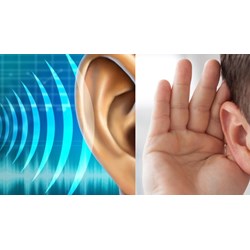 Điều kiện về thính giác đối với tiếp viên hàng không như thế nào?