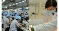 Trình tự miễn nhiệm thẻ giám định viên tư pháp lĩnh vực lao động?
