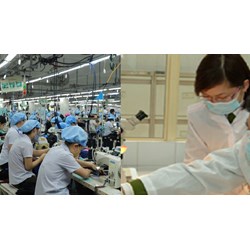 Trình tự miễn nhiệm thẻ giám định viên tư pháp lĩnh vực lao động?