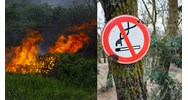 Phương châm 4 tại chỗ trong nguyên tắc phòng cháy và chữa cháy rừng