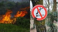 Phương châm 4 tại chỗ trong nguyên tắc phòng cháy và chữa cháy rừng