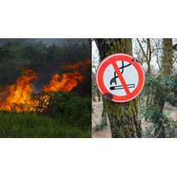Phương châm 4 tại chỗ trong nguyên tắc phòng cháy và chữa cháy rừng