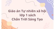 Giáo án Tự nhiên xã hội lớp 1 sách Chân Trời Sáng Tạo cả năm