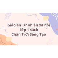 Giáo án Tự nhiên xã hội lớp 1 sách Chân Trời Sáng Tạo cả năm