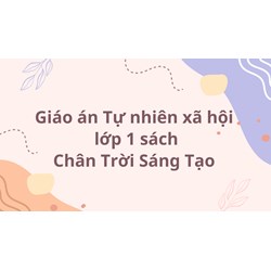 Giáo án Tự nhiên xã hội lớp 1 sách Chân Trời Sáng Tạo cả năm