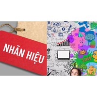 Hình thức chủ sở hữu nhãn hiệu nộp hồ sơ cấp mã số tân trang