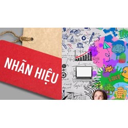 Hình thức chủ sở hữu nhãn hiệu nộp hồ sơ cấp mã số tân trang
