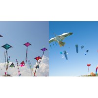 Thả diều tại khu vực cấm bị xử lý vi phạm hành chính như thế nào?