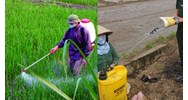 Người vận chuyển thuốc bảo vệ thực vật phải đảm bảo yêu cầu nào?