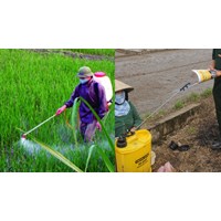 Người vận chuyển thuốc bảo vệ thực vật phải đảm bảo yêu cầu nào?