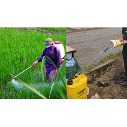 Người vận chuyển thuốc bảo vệ thực vật phải đảm bảo yêu cầu nào?