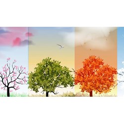 Mùa xuân ở các nước theo dương lịch tại bán cầu Bắc được tính từ ngày