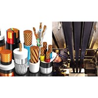 Điện áp danh định đến và bằng 450/750 V có được chôn trực tiếp trong đất