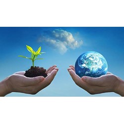 Hoạt động bảo vệ môi trường được tiến hành thường xuyên, công khai?