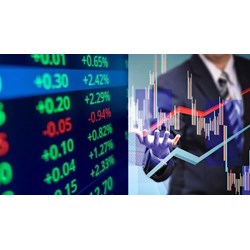 Được sử dụng số dư tài khoản chứng khoán làm tài sản bảo đảm không